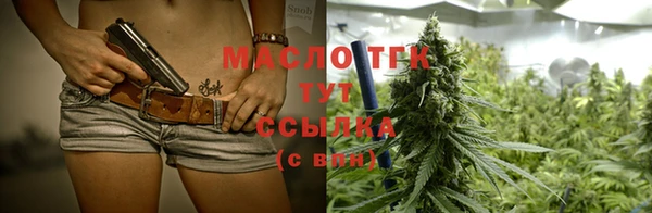 индика Михайлов