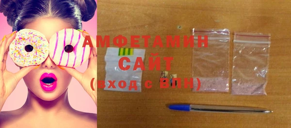 индика Медногорск