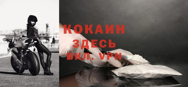 индика Михайлов