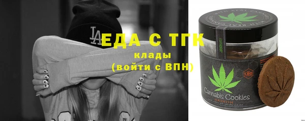 индика Михайлов