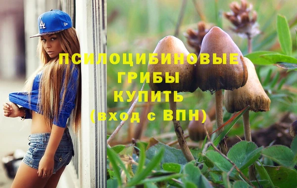 соль ск Михайловка