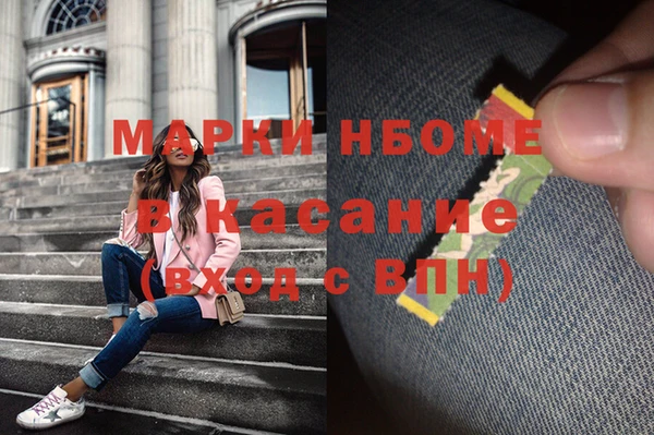 индика Михайлов